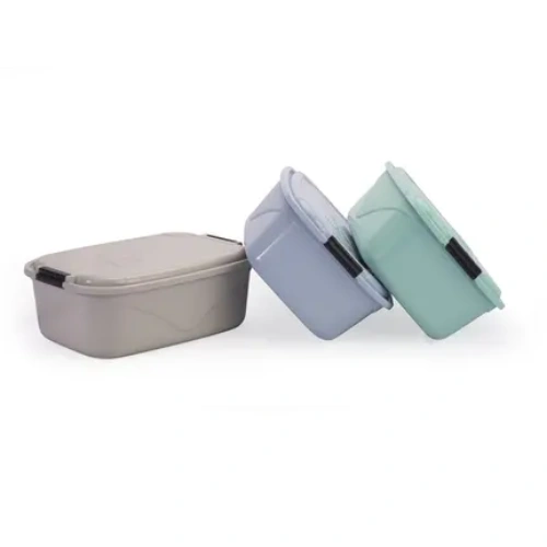 Caixa Organizadora 5,5l diversos formplast
